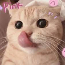 ณรงค์ฤทธิ์ แก้วมา avatar